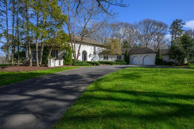 a view of a park with large trees