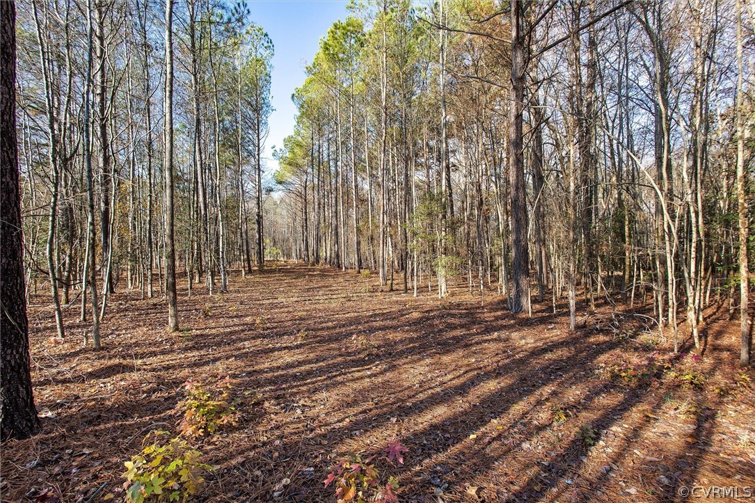 7210 Strath Road Henrico, VA 23231 - Photo 6 of 7 a view of yard with trees