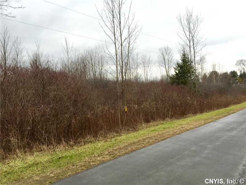 255 Orton Road Pulaski, NY 13142 - Photo 3 of 7
