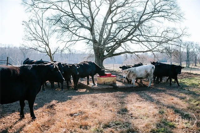 $776,400 | 0 Crawfordville Road, Lexington, GA 30648