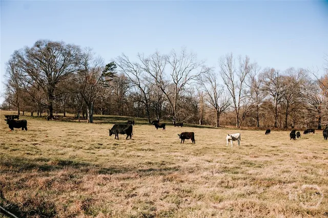 $776,400 | 0 Crawfordville Road, Lexington, GA 30648