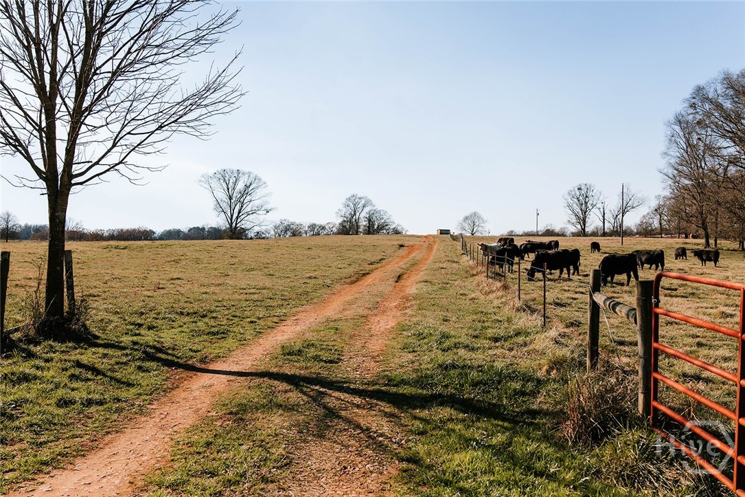 0 Crawfordville Road Lexington, GA 30648 - Photo 4 of 29