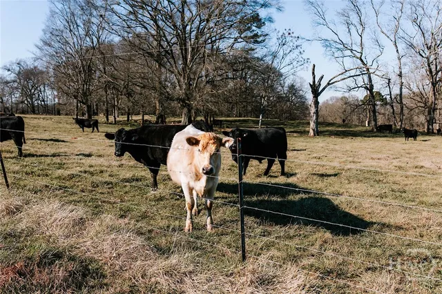 $776,400 | 0 Crawfordville Road, Lexington, GA 30648