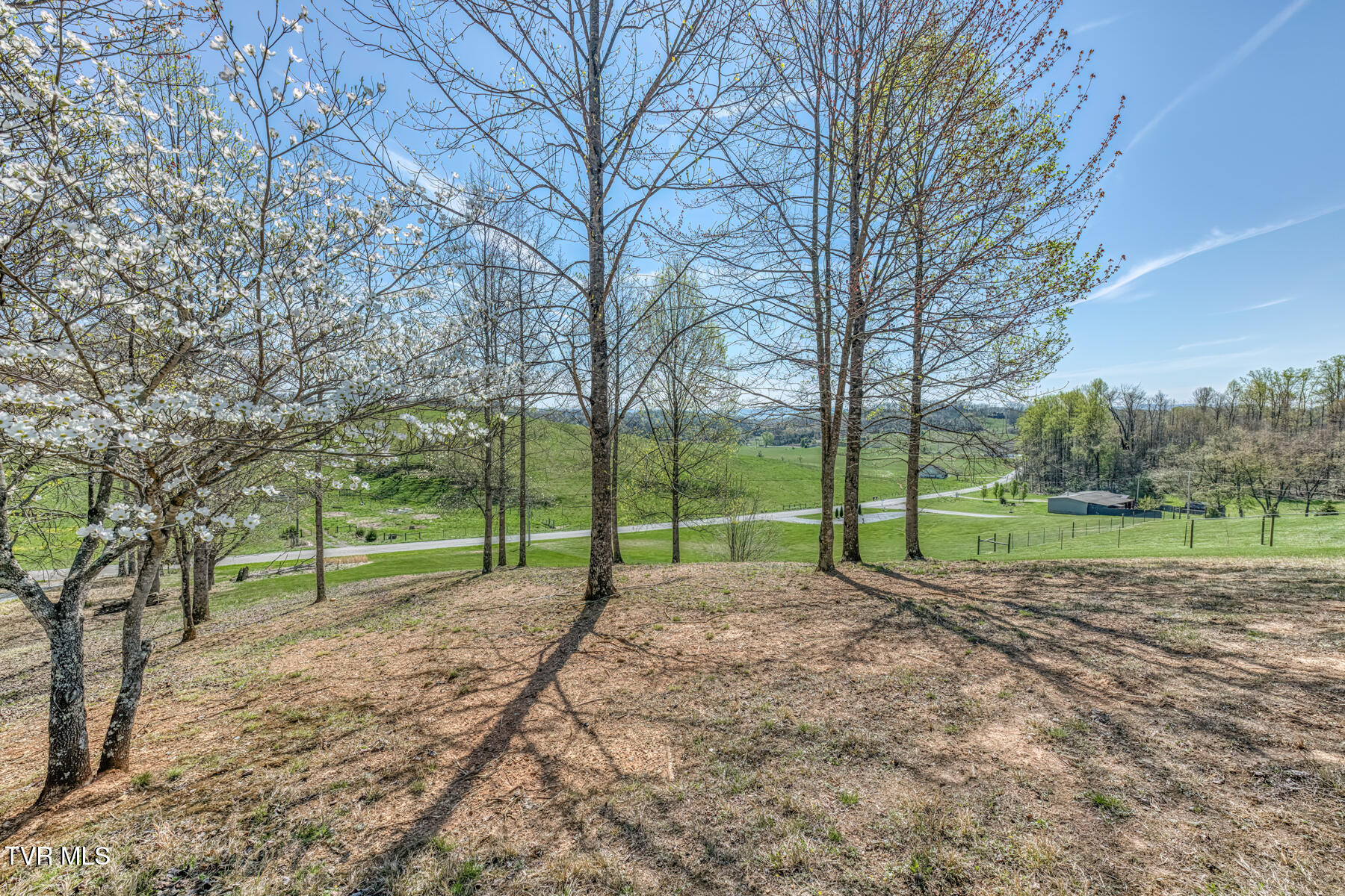 18348 Buffalo Pond Road Bristol, VA 24202 - Photo 63 of 73 18348 Buffalo Pond Rd-63