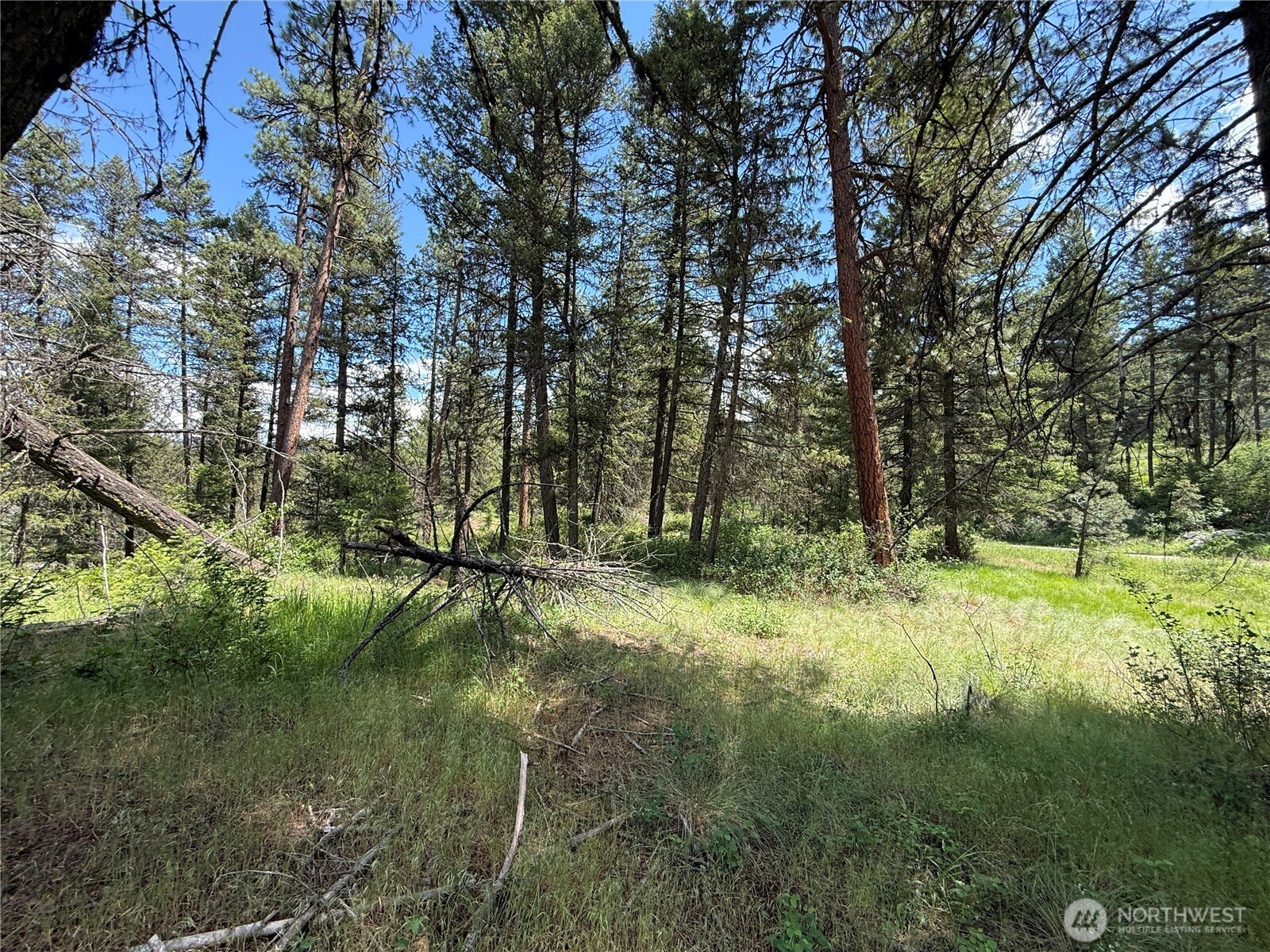 21 Pine Grove Street Republic, WA 99166 - Photo 17 of 21