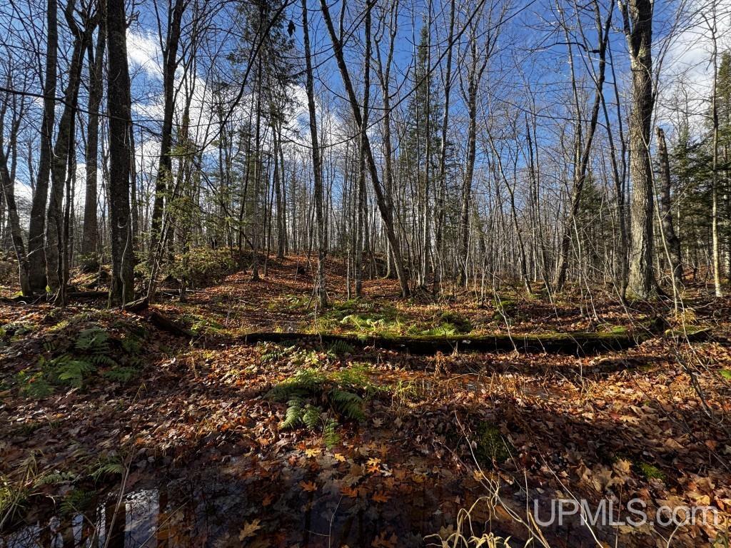 Tbd Tbd Herman Nestoria Road Lanse, MI 49946 - Photo 9 of 25