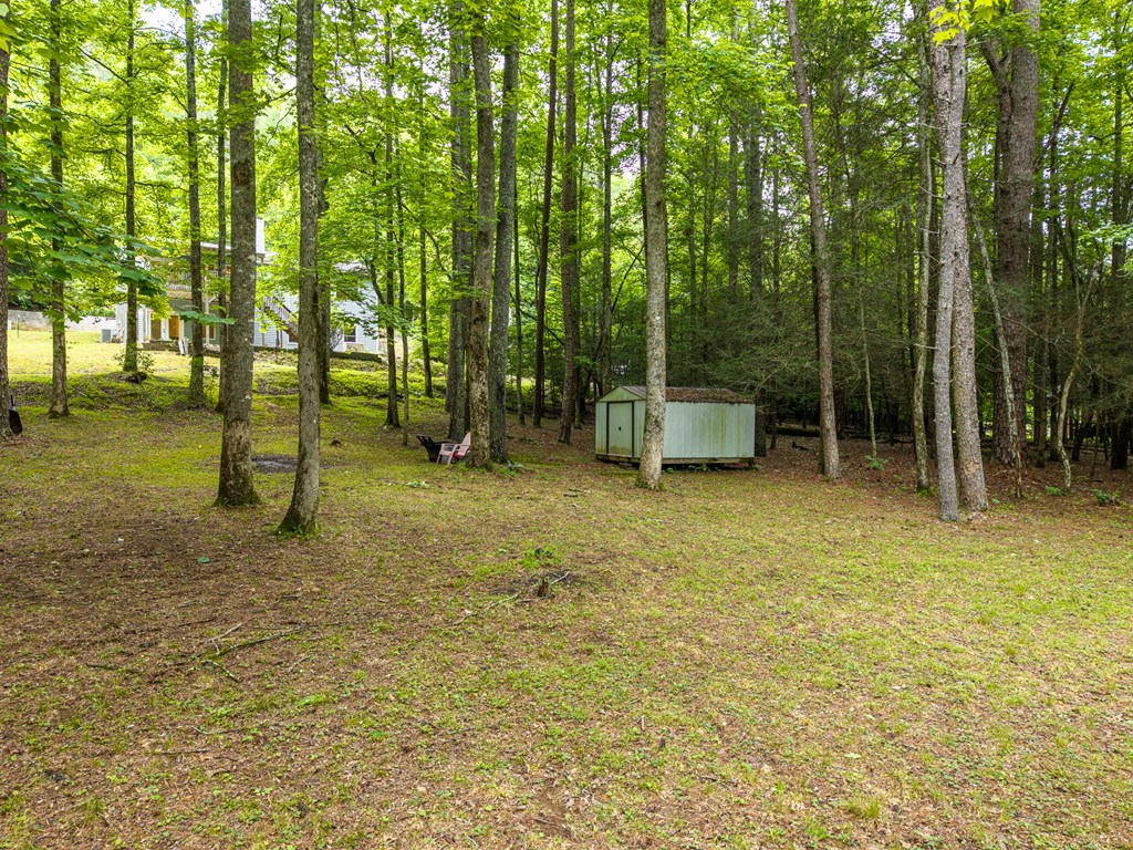 1774 Hicks Ford Road Ellijay, GA 30540 - Photo 10 of 32