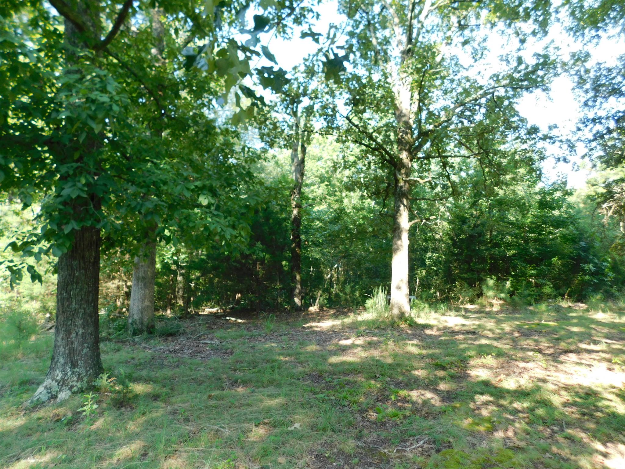 3035 Glendale Road Adamsville, TN 38310 - Photo 24 of 29 Gallery Image 24