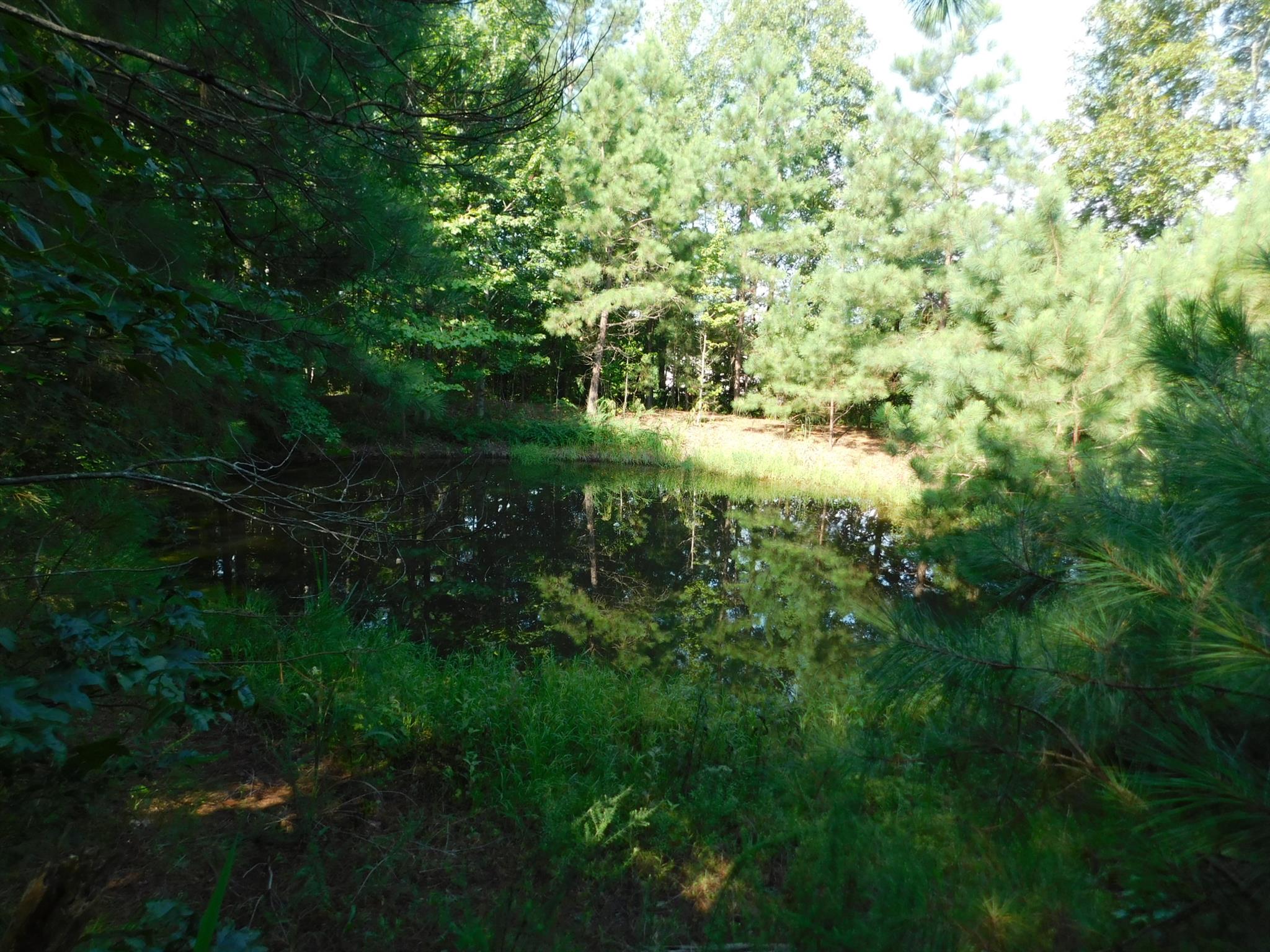 3035 Glendale Road Adamsville, TN 38310 - Photo 25 of 29 Gallery Image 25