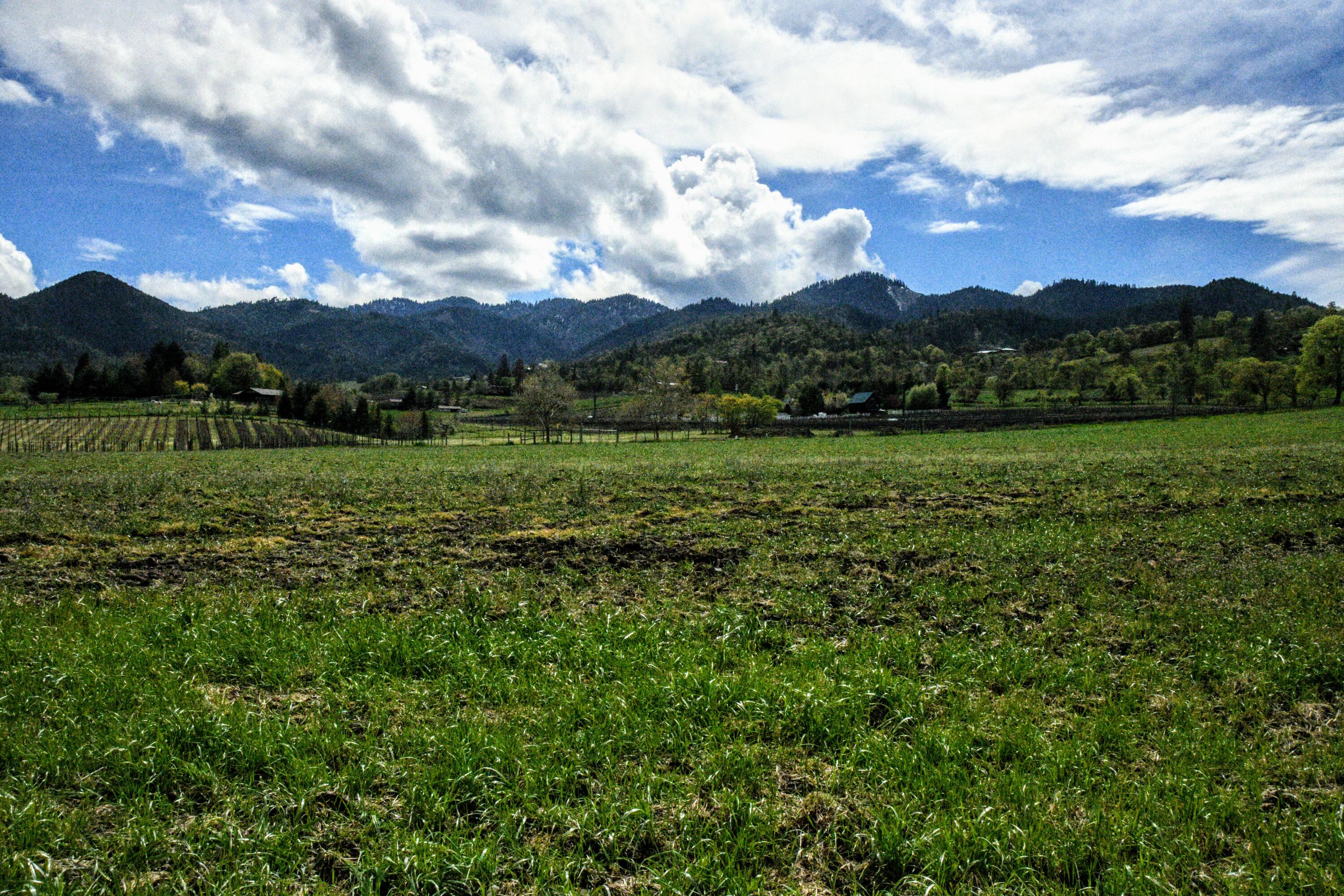 7226 Wagner Creek Road Talent, OR 97540 - Photo 8 of 23 DSC_2299