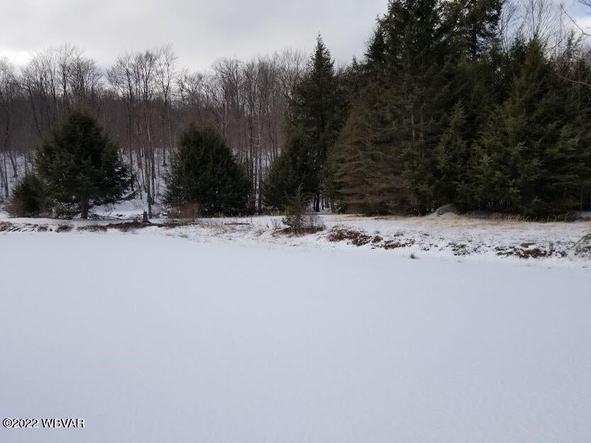 347 Winnies Road Canton, PA 17724 - Photo 53 of 80 Gallery Image 53