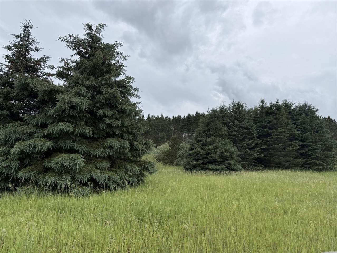 Eight Mile Road Kaleva, MI 49645 - Photo 1 of 14
