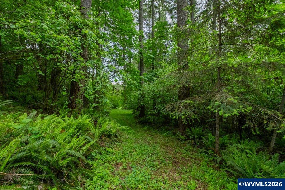 0057485 Next To 40587 Baptist Church Road Lebanon, OR 97355 - Photo 17 of 38