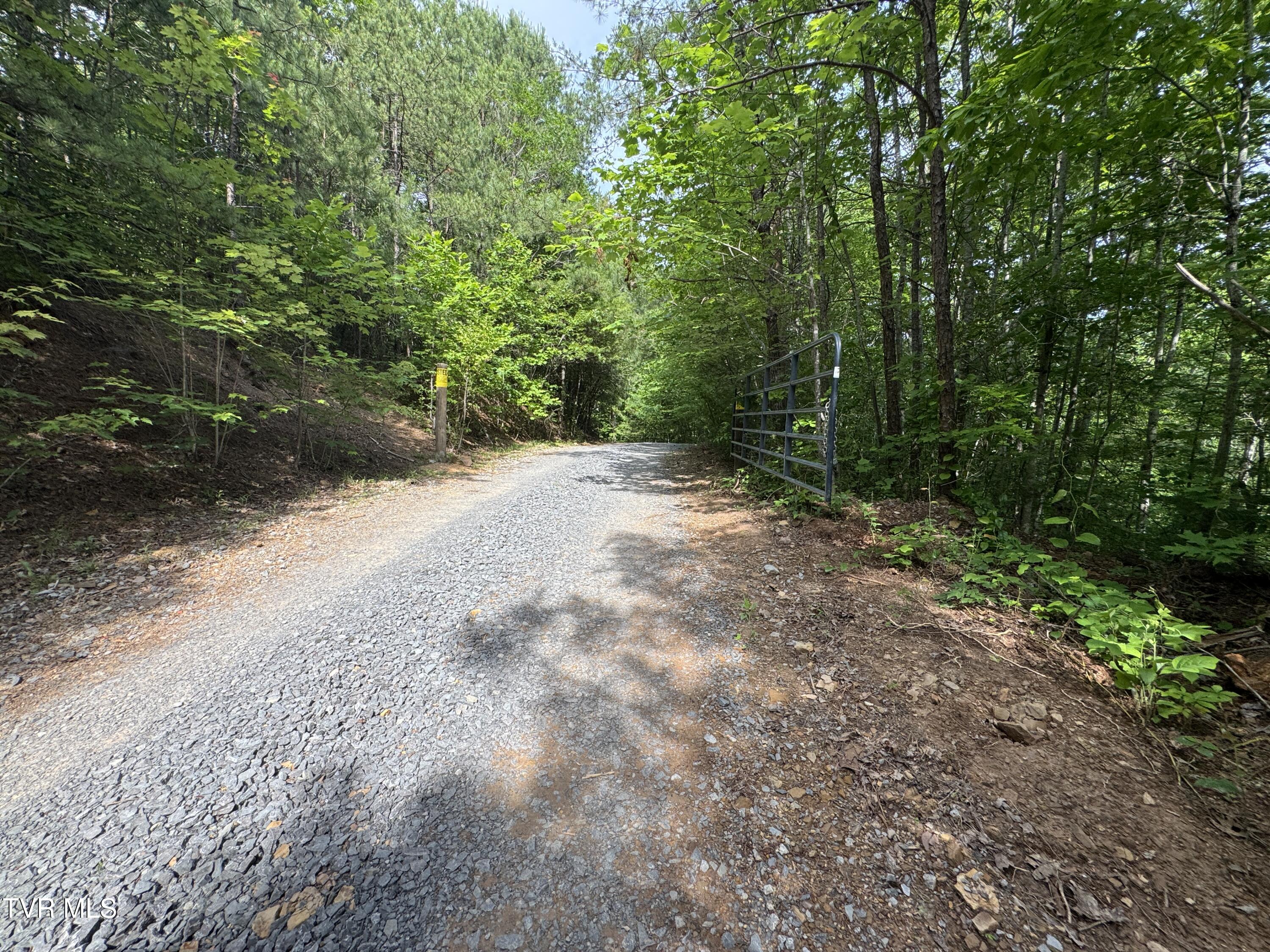 1555 Hamner Hollow Road Big Stone Gap, VA 24219 - Photo 39 of 41 SCENIC VIEW 2 OF PRIVATE DRIVEWAY