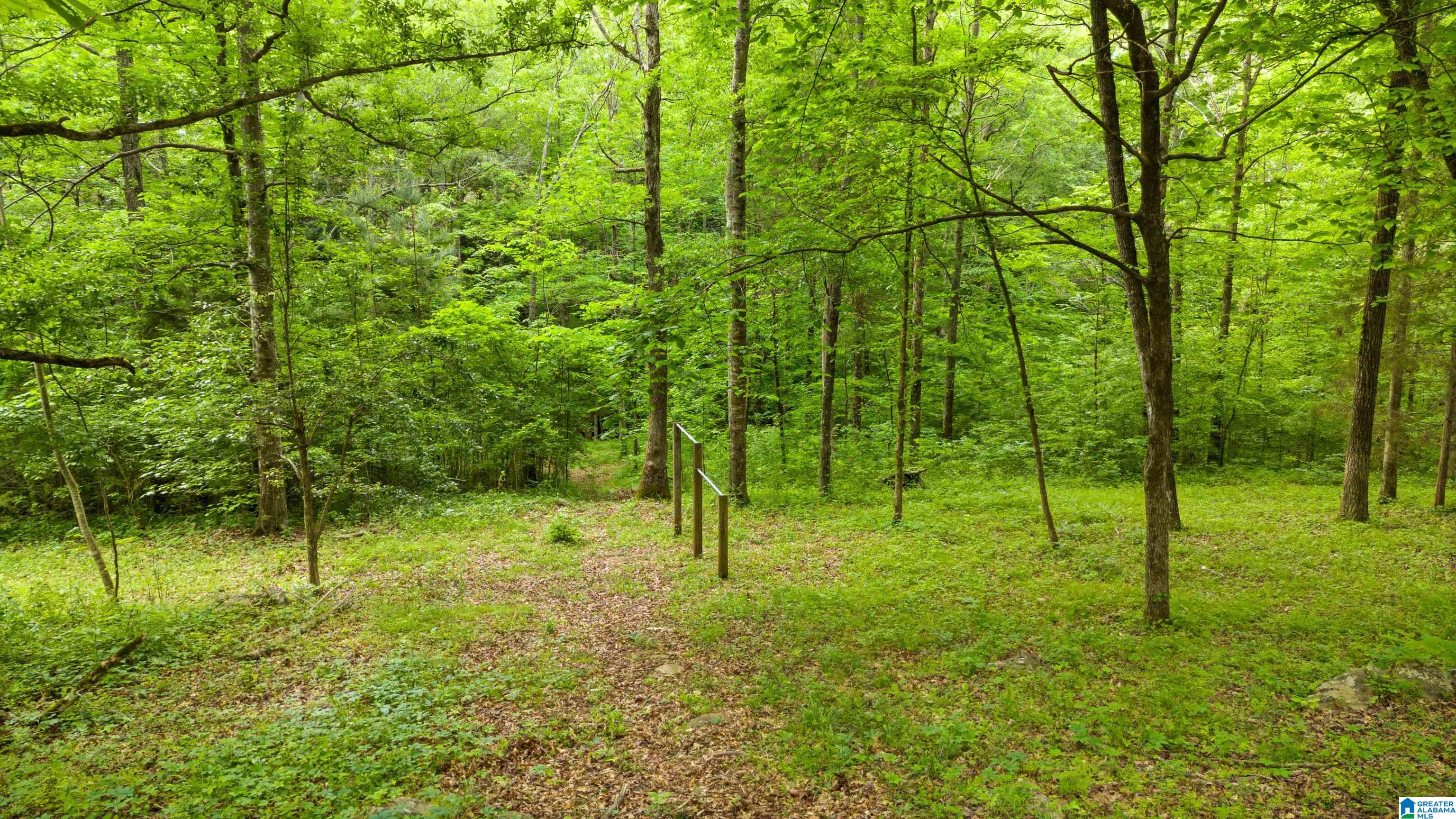732 Mill Creek Road Warrior, AL 35180 - Photo 55 of 65