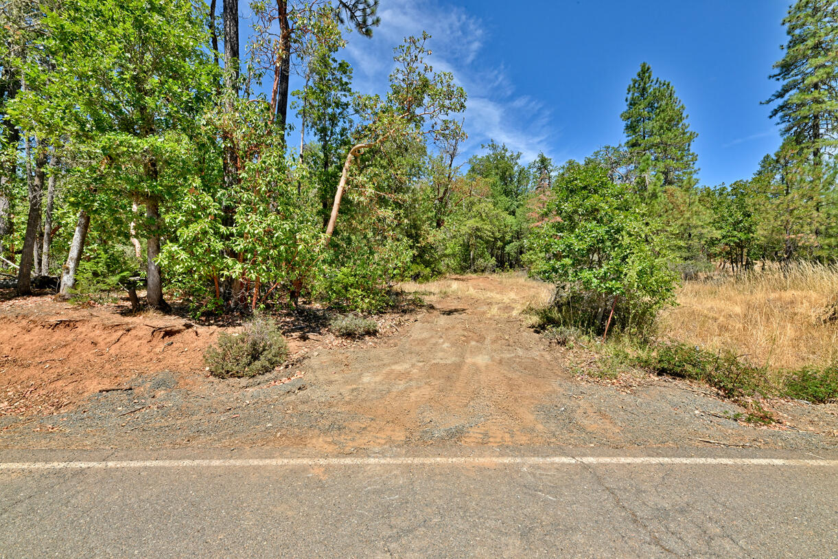 360 Sparky Way Cave Junction, OR 97523 - Photo 20 of 20 DSC_9703