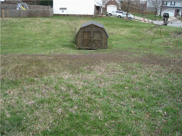1954 Portway Road Spring Hill, TN 37174 - Photo 14 of 16 Storage building in the backyard.