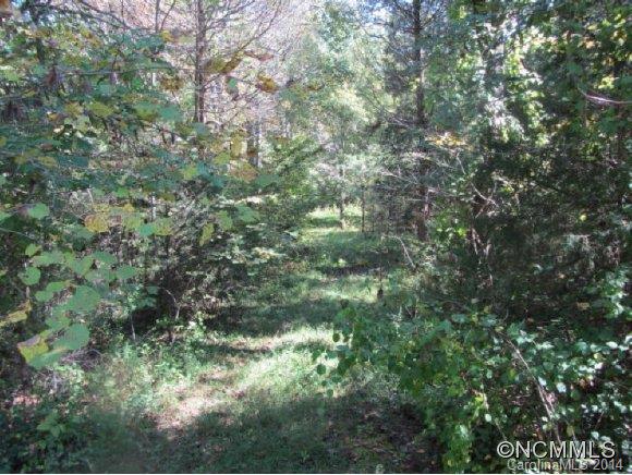 0 Greenhill Ridge Drive Rutherfordton, NC 28139 - Photo 2 of 11