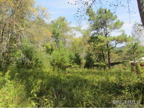 0 Greenhill Ridge Drive Rutherfordton, NC 28139 - Photo 10 of 11