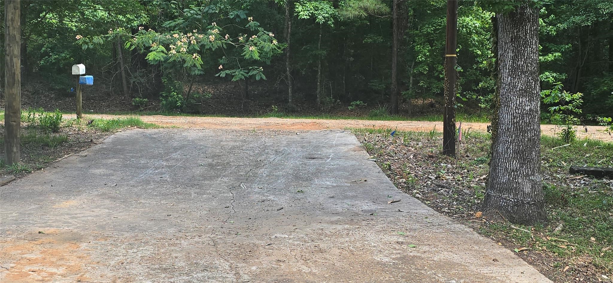 110 Hidden Circle Coldspring, TX 77331 - Photo 18 of 24 Driveway