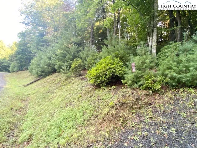 a view of a yard with plants and trees