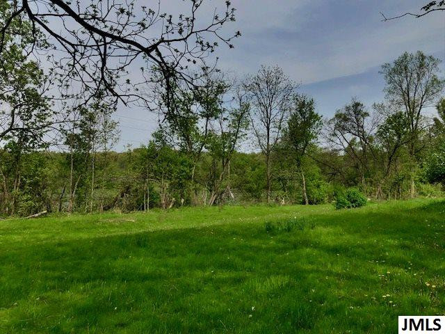 13510 Homer Road Concord, MI 49237 - Photo 6 of 16 Photo 6