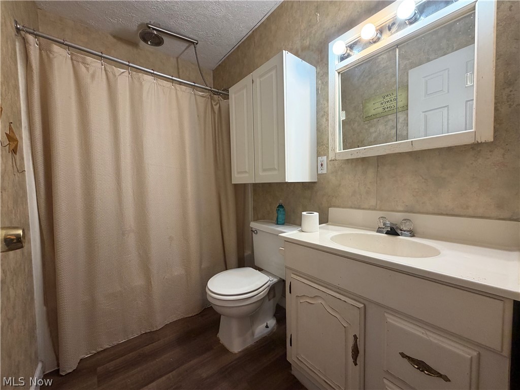 3950 Wolf Road Southwest Port Washington, OH 43837 - Photo 14 of 45 Vanity with an integrated sink and base cabinetry, wall-mounted medicine cabinet, and wood-finish flooring