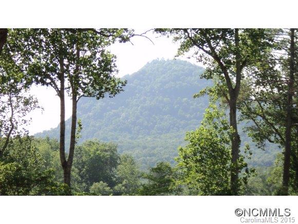 237 Chapel Point Road Lake Lure, NC 28746 - Photo 4 of 24 Gallery Image 4