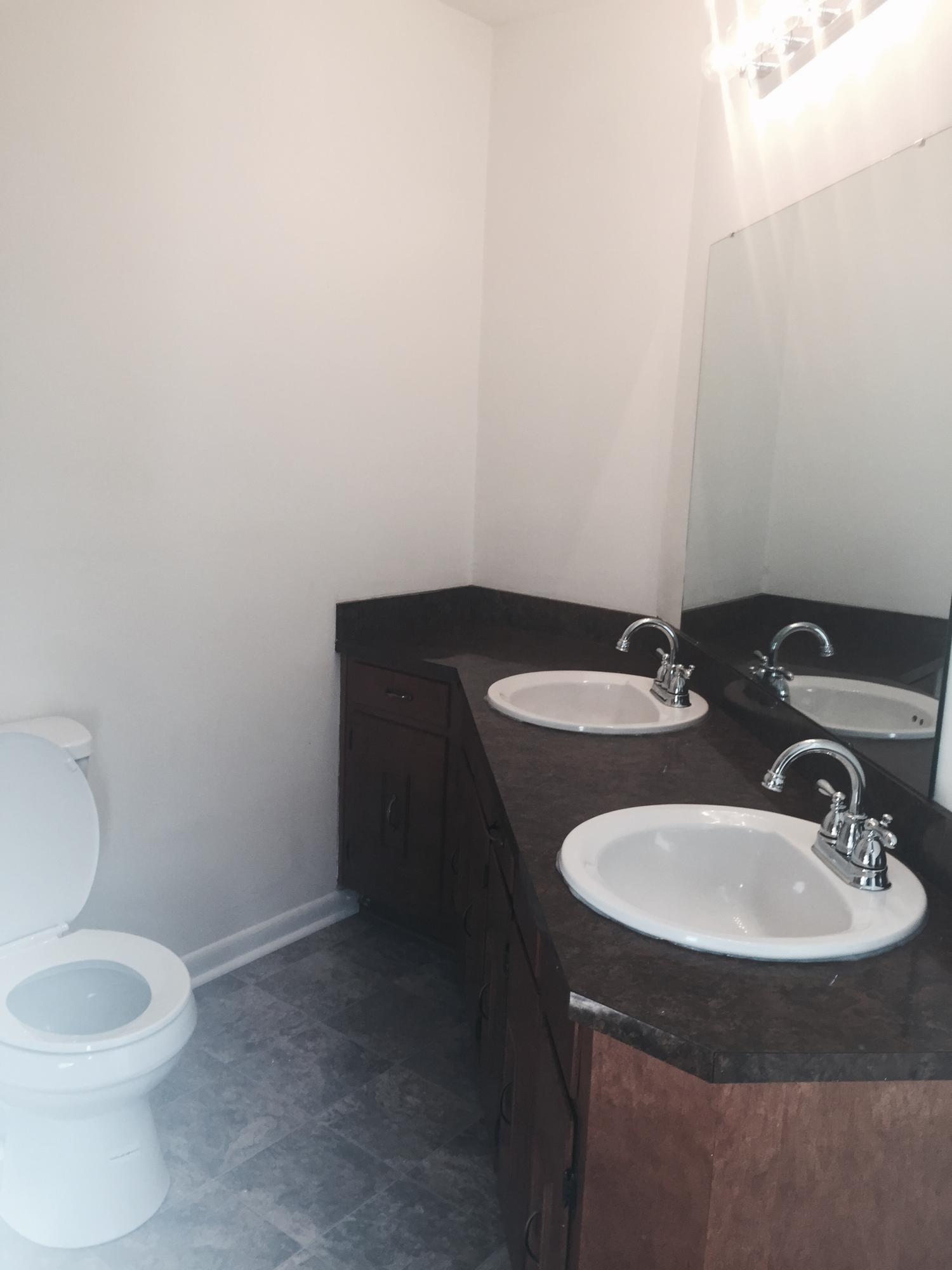 884 Isolane Road Callaway, VA 24067 - Photo 9 of 10 a bathroom with a sink and a toilet