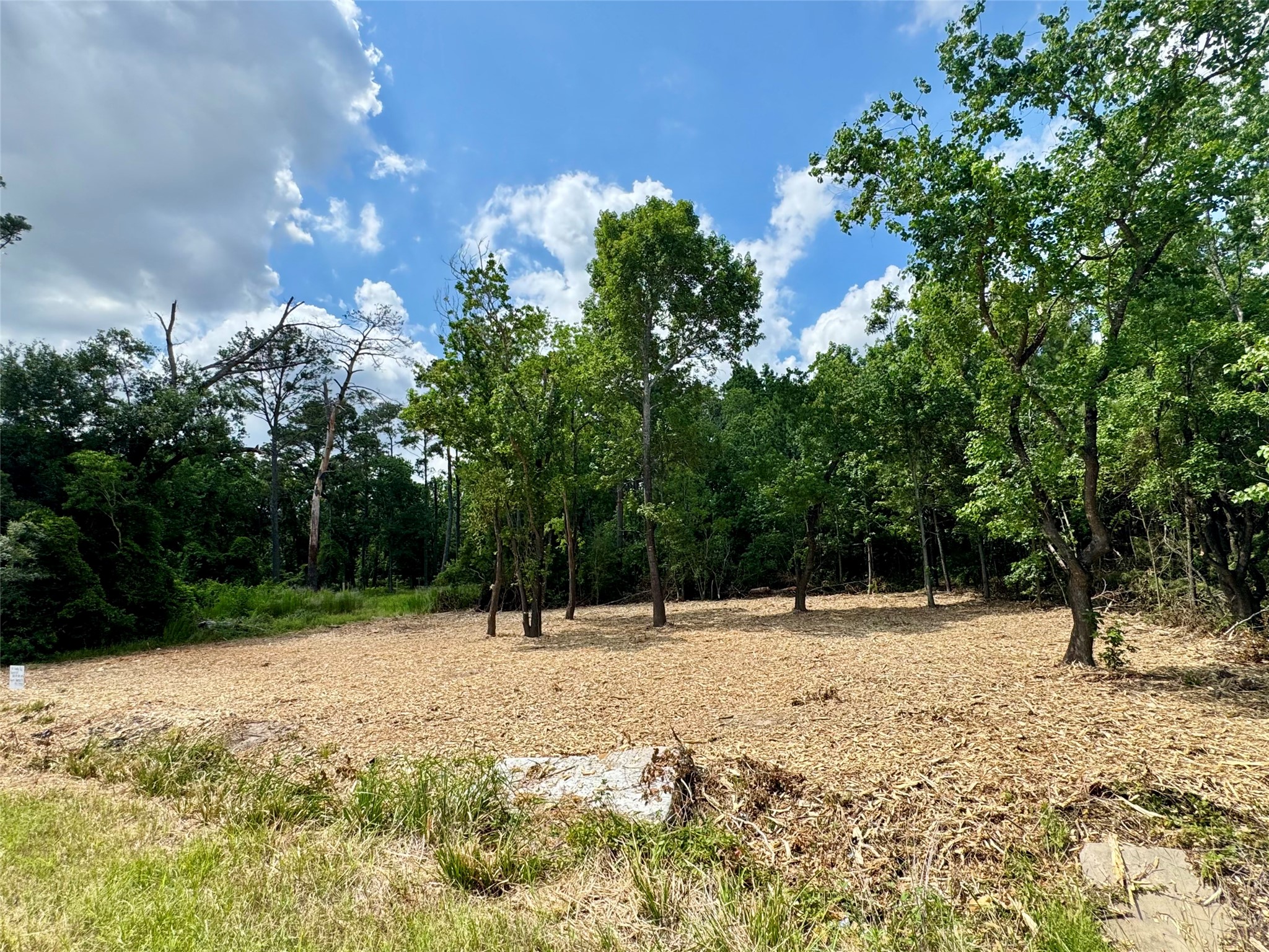 0 West Hardy Road Houston, TX 77073 - Photo 5 of 11 a view of outdoor space with trees