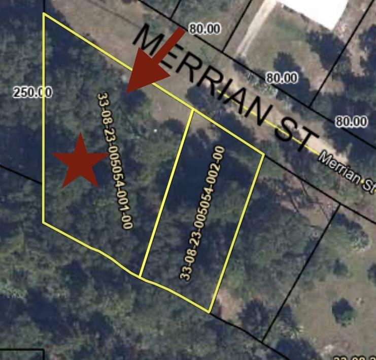 0 Merrian Road Keystone Heights, FL 32656 - Photo 2 of 2