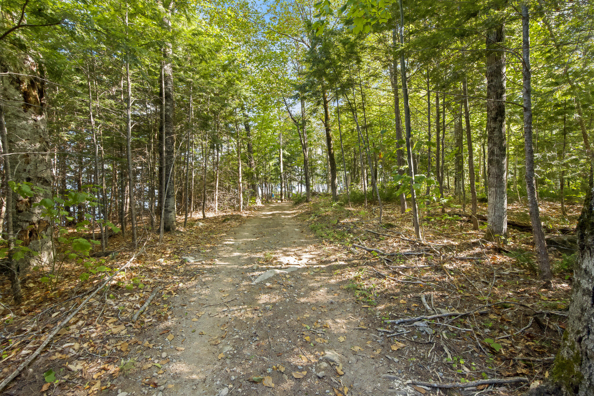 49 Map Pi010 Plan 11 Millinocket, ME 04462 - Photo 45 of 71 Island Path