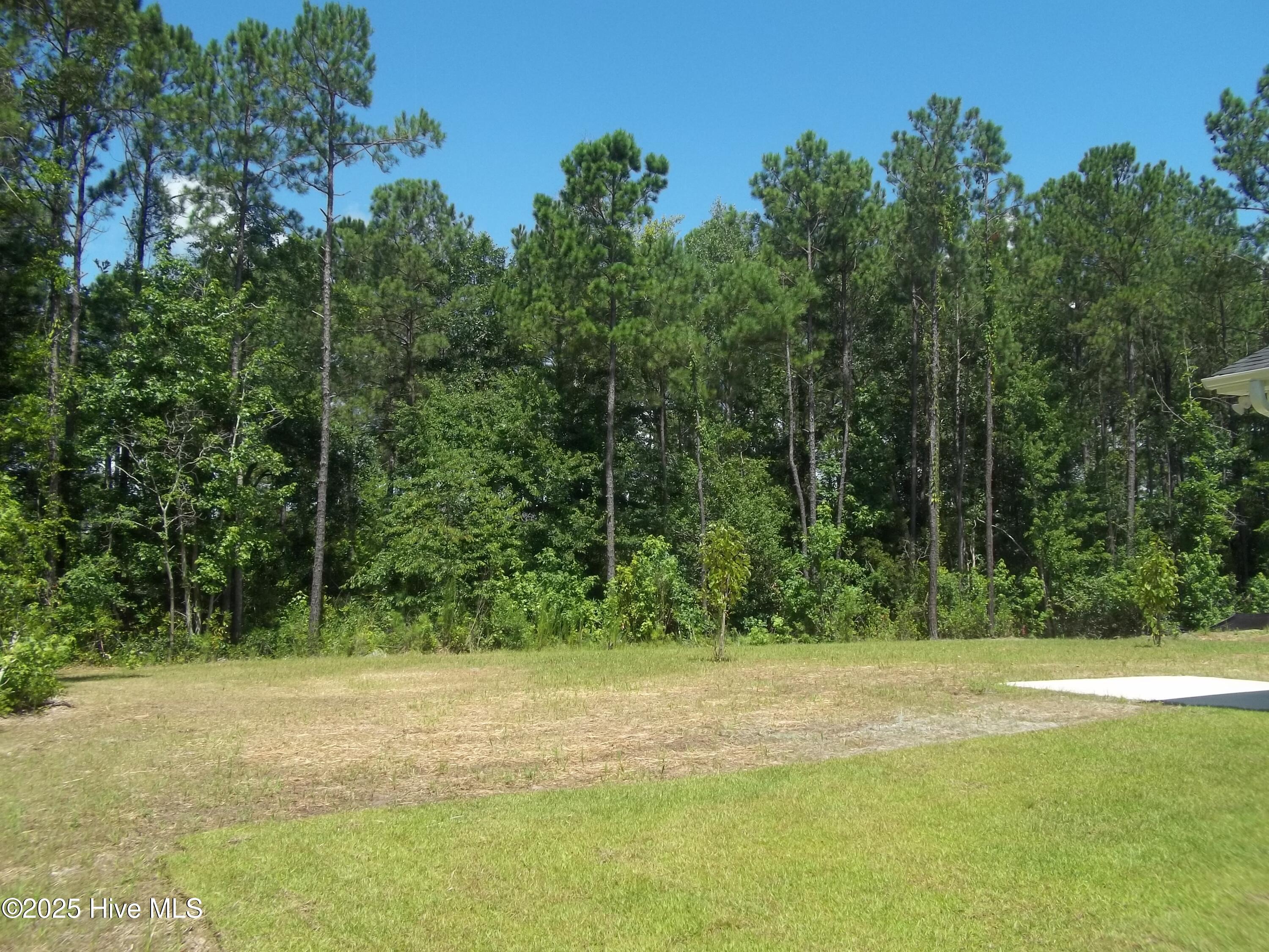 151 Portico Court Hampstead, NC 28443 - Photo 12 of 49 100_6425