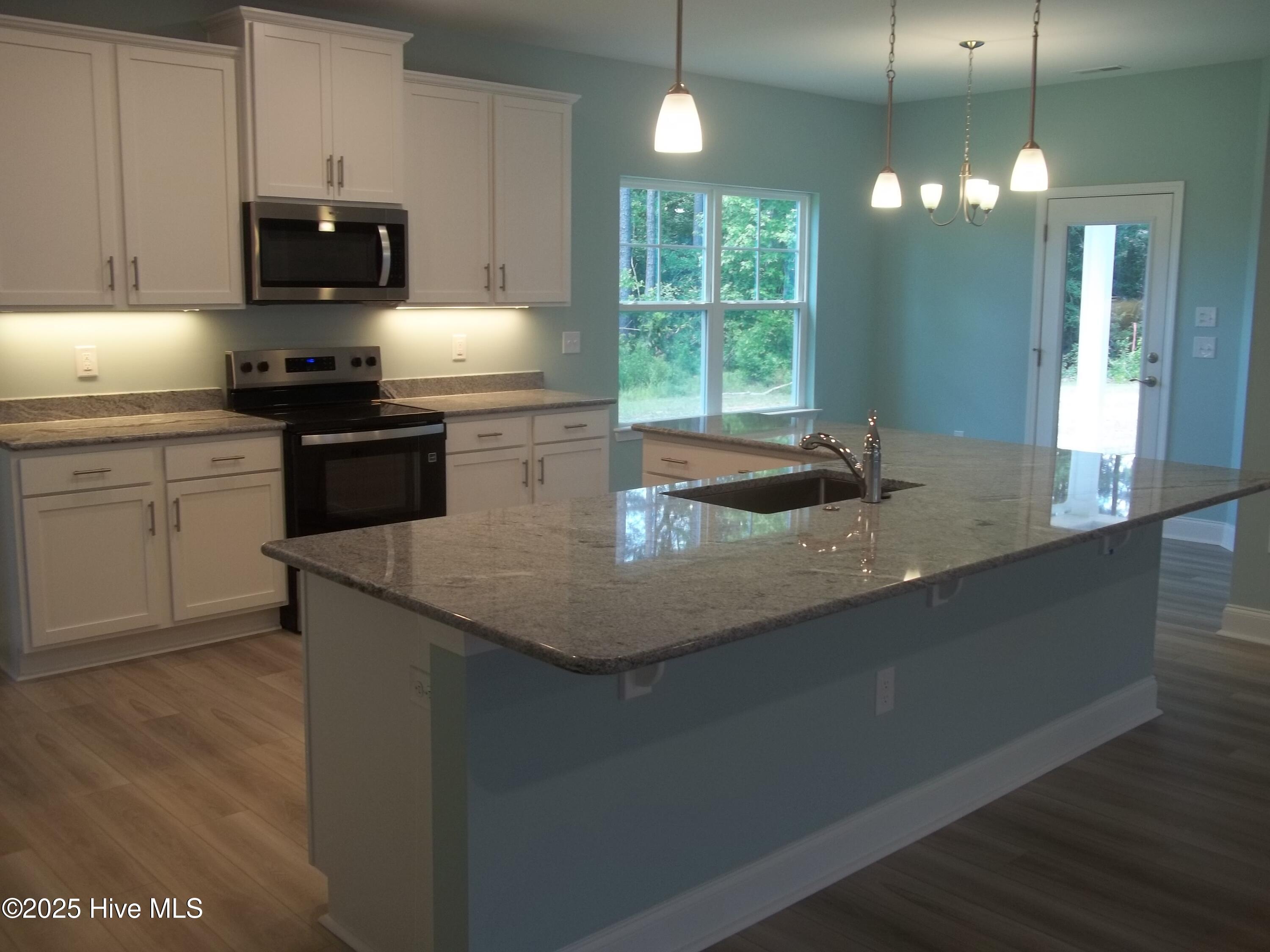 151 Portico Court Hampstead, NC 28443 - Photo 16 of 49 100_6405