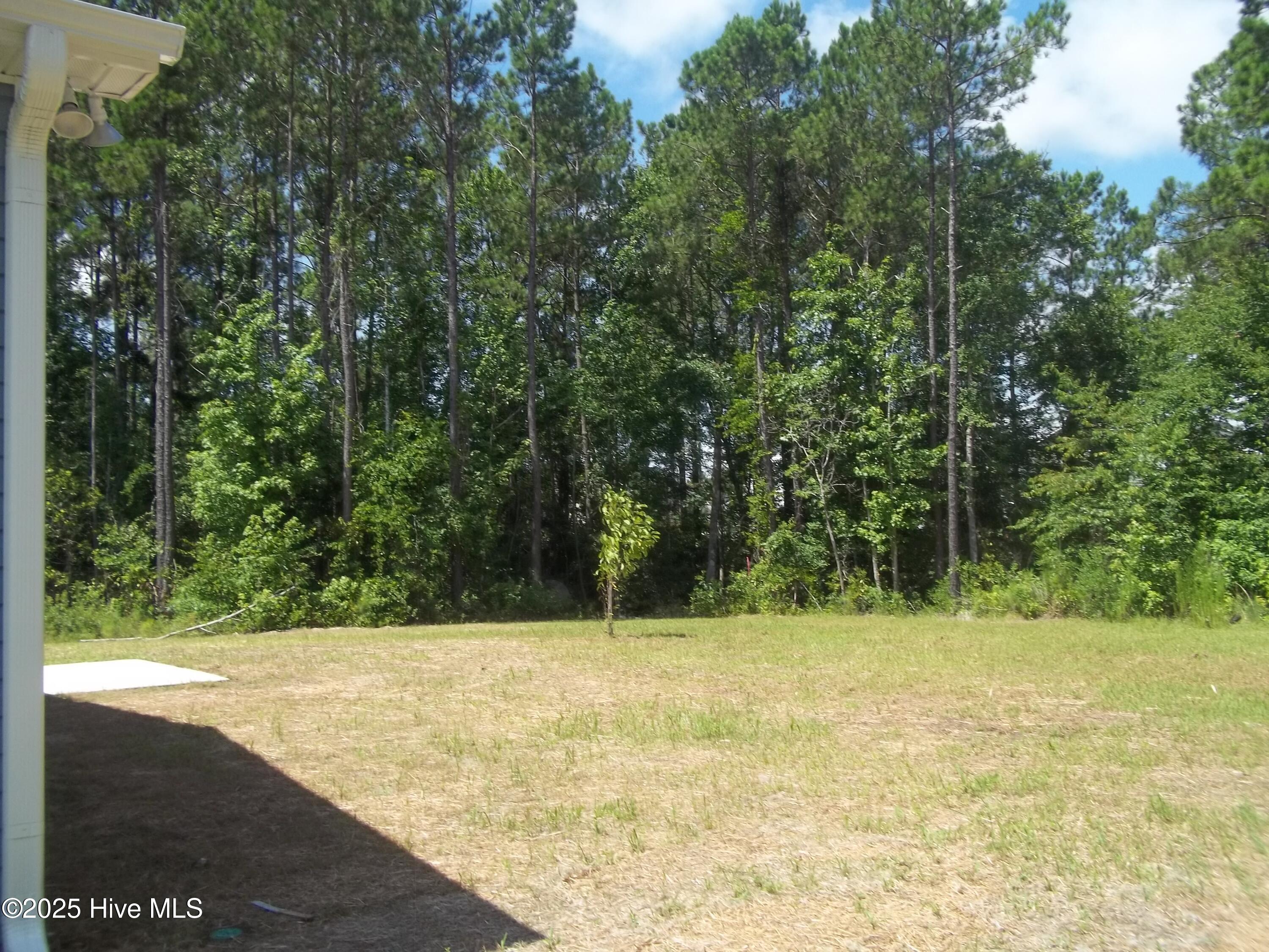 151 Portico Court Hampstead, NC 28443 - Photo 5 of 49 100_6418