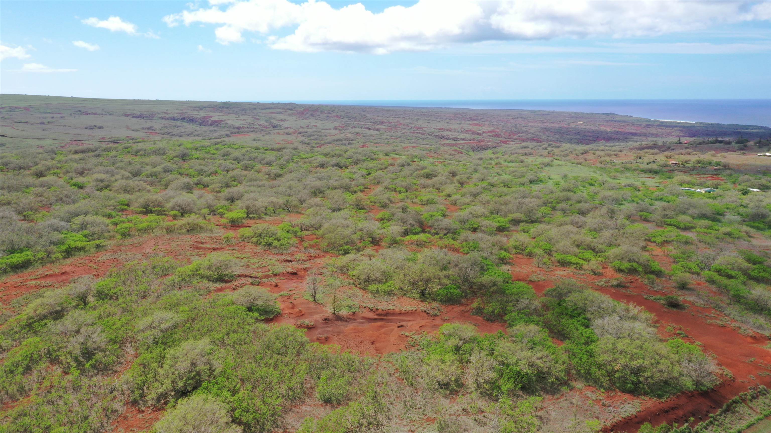 0 Kalua Koi Road, Unit 38 Maunaloa, HI 96770 - Photo 1 of 13 a view of an outdoor space and a yard
