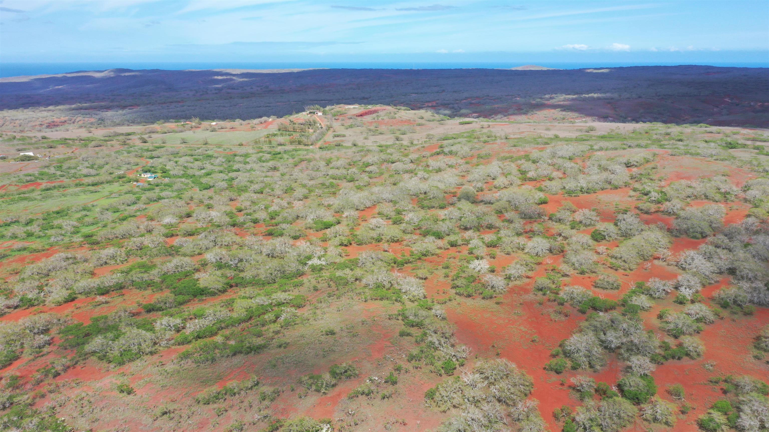 0 Kalua Koi Road, Unit 38 Maunaloa, HI 96770 - Photo 11 of 13 a view of a yard with a yard