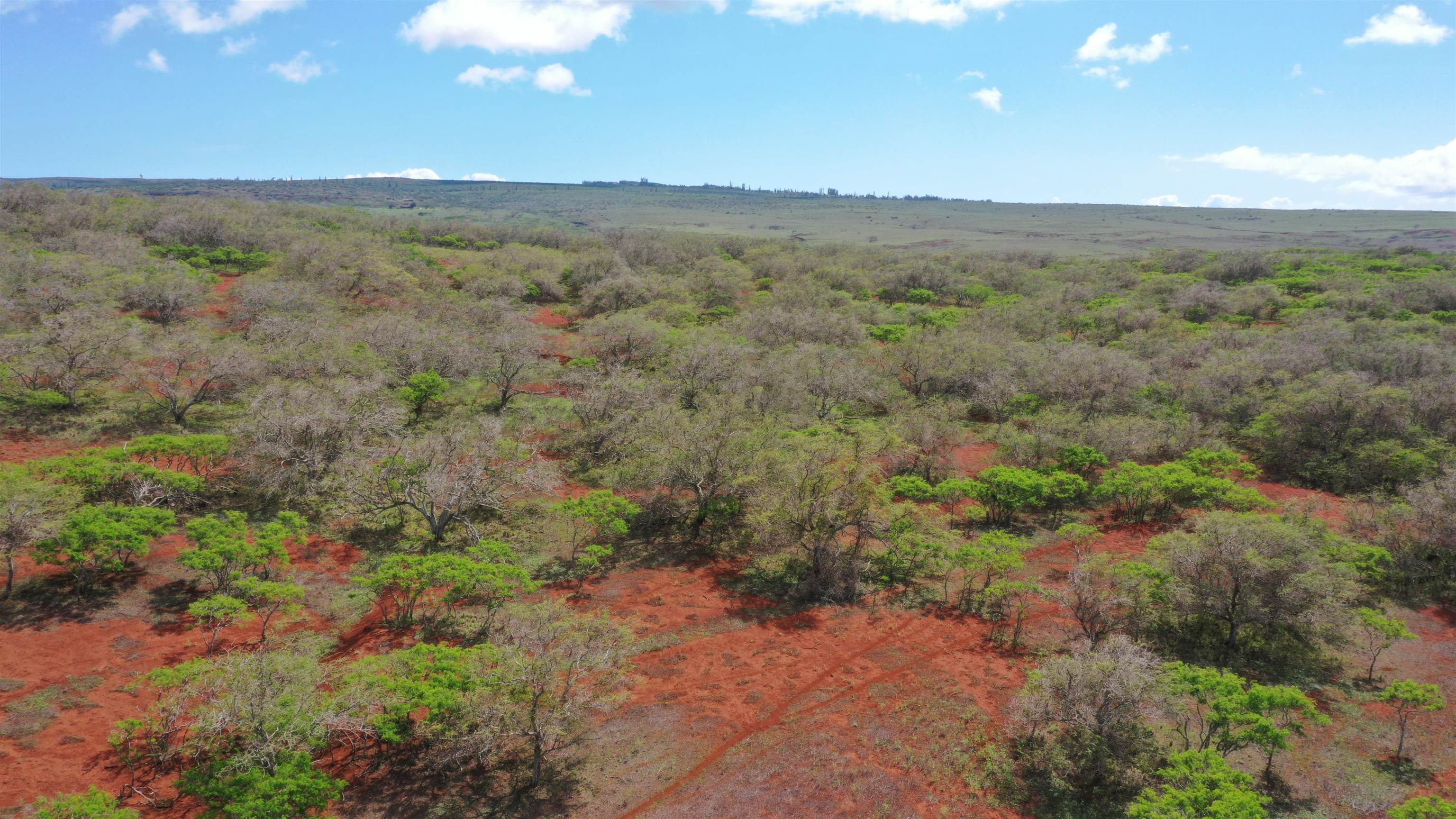 0 Kalua Koi Road, Unit 38 Maunaloa, HI 96770 - Photo 4 of 13 a view of a city with lush green forest