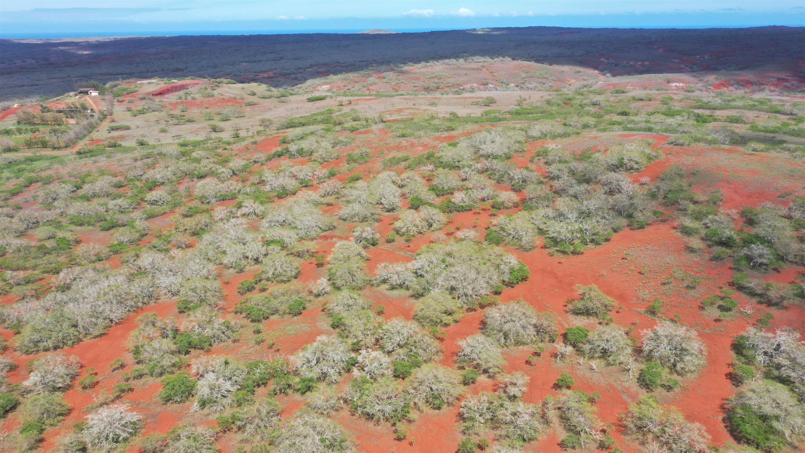 0 Kalua Koi Road, Unit 38 Maunaloa, HI 96770 - Photo 5 of 13 a view of a field