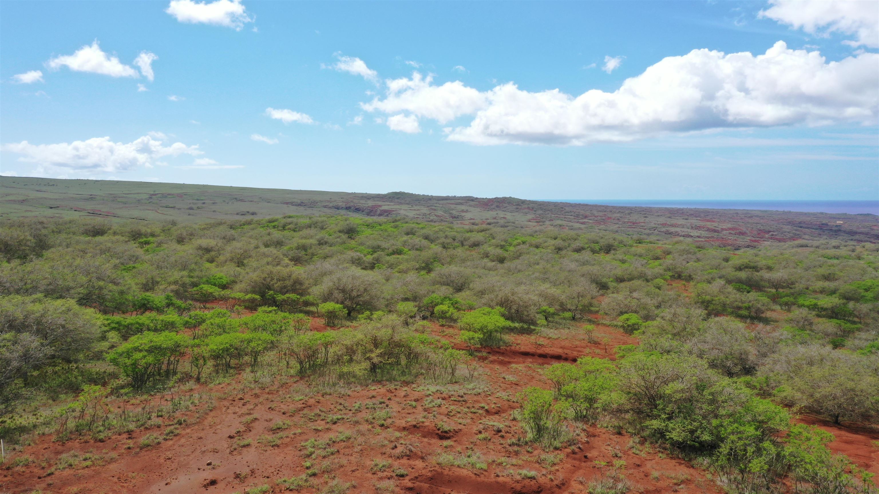 0 Kalua Koi Road, Unit 38 Maunaloa, HI 96770 - Photo 10 of 13 a view of a big yard with lots of trees
