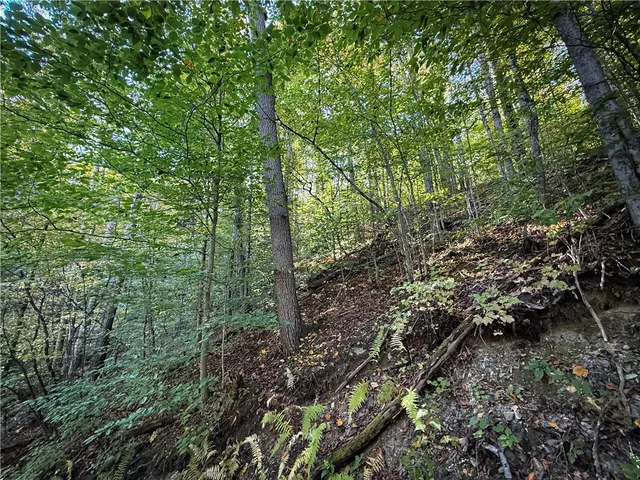 $339,900 | 920 Carter Creek Road, Newfield, NY 14867