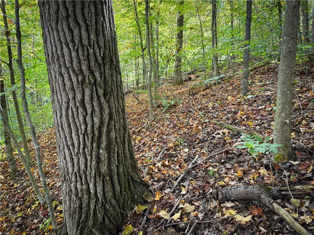 $339,900 | 920 Carter Creek Road, Newfield, NY 14867