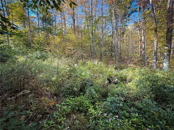 $339,900 | 920 Carter Creek Road, Newfield, NY 14867