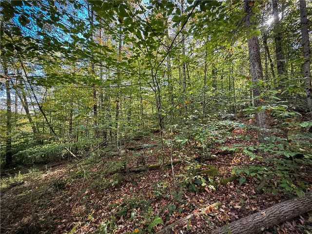 $339,900 | 920 Carter Creek Road, Newfield, NY 14867