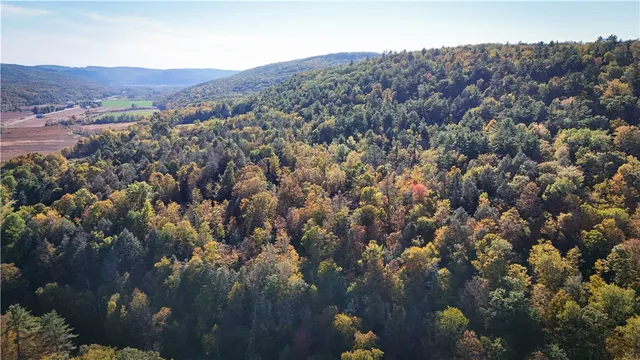 $339,900 | 920 Carter Creek Road, Newfield, NY 14867