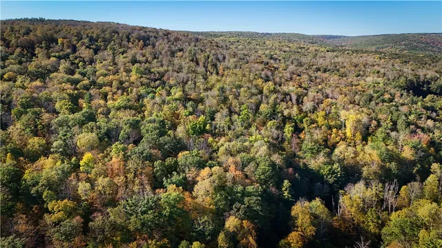 $339,900 | 920 Carter Creek Road, Newfield, NY 14867