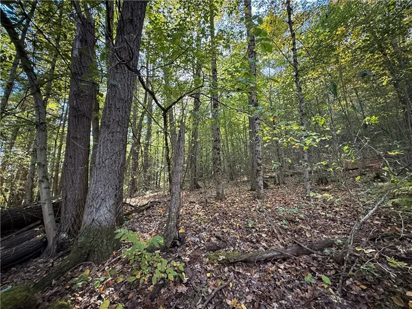 $339,900 | 920 Carter Creek Road, Newfield, NY 14867