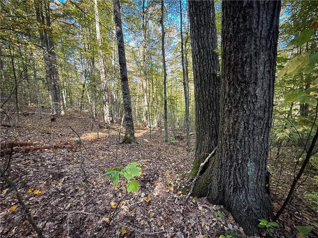 $339,900 | 920 Carter Creek Road, Newfield, NY 14867