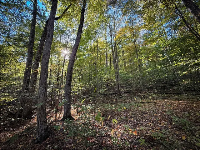 $339,900 | 920 Carter Creek Road, Newfield, NY 14867