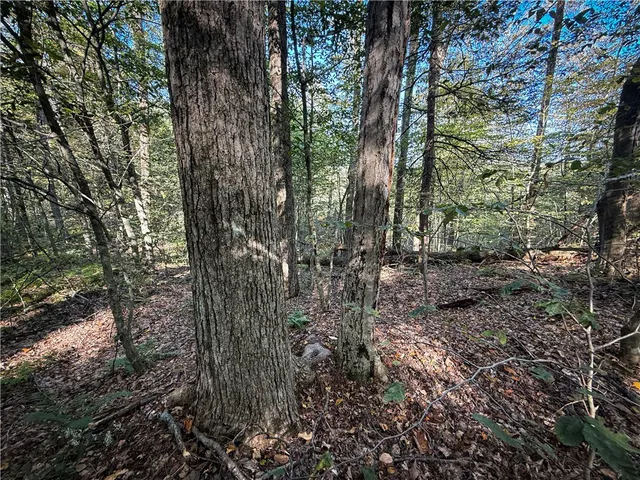 $339,900 | 920 Carter Creek Road, Newfield, NY 14867